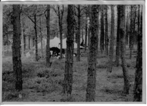 042 tent in bos 1949